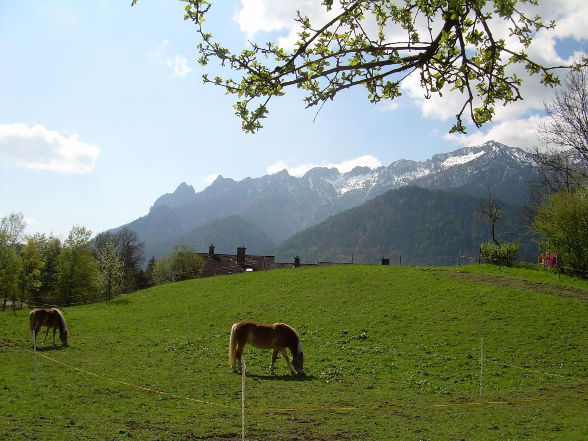 Апартаменты Bachbauernhof Байериш-Гмайн Экстерьер фото